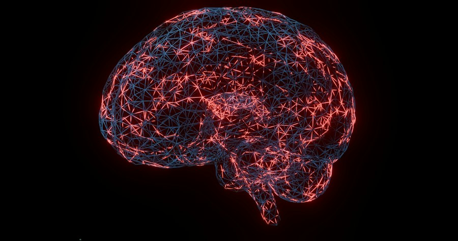 Photo schizophrenia ct scan study