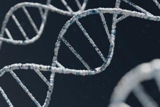 Photo genetic vulnerability schizophrenia