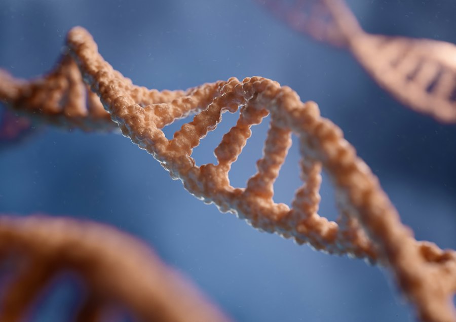 Photo genetic vulnerability schizophrenia