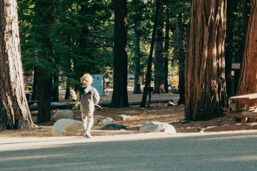 childhood environment mental illness impact