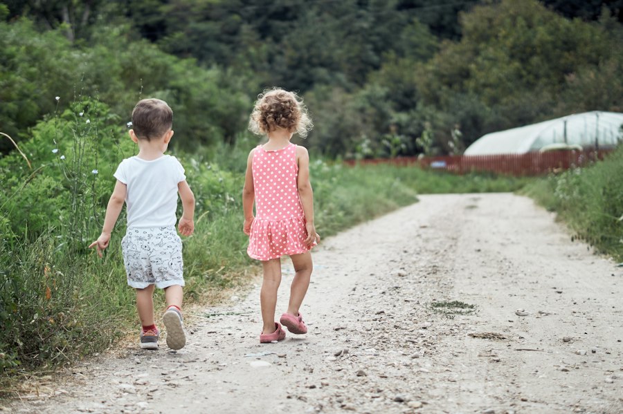 identical siblings differences genetics environment