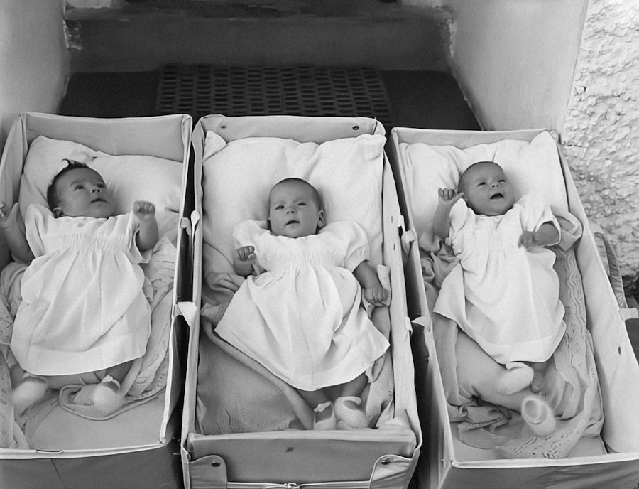 identical quadruplets different outcomes raised together
